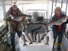 (03/26/2018) - Nice Striped Bass